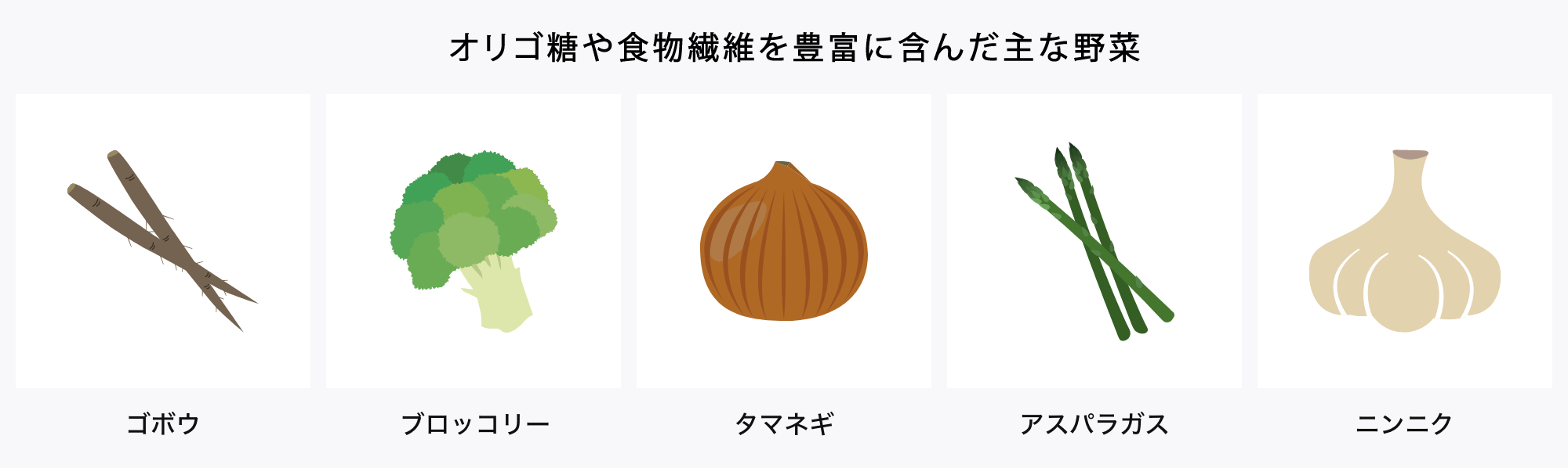 プレバイオティクスに作用する効果が期待される主な野菜